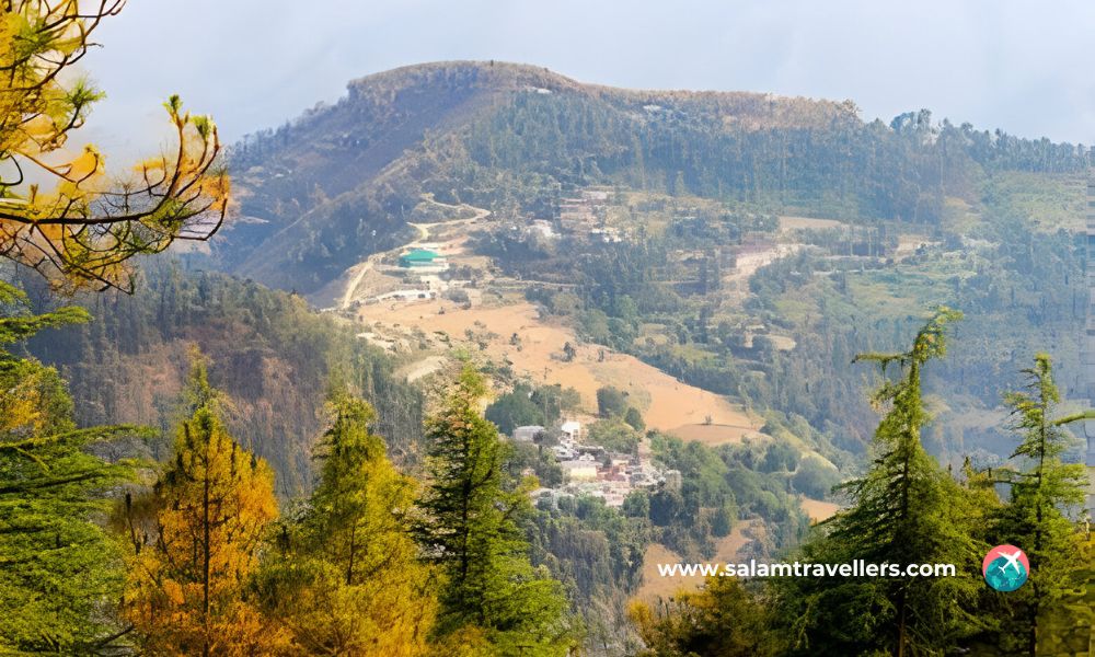 Naldhera Shimla - Salam Travellers