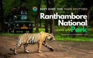 Read more about the article The Best Zone in Ranthambore National Park for Tiger Spotting: A Review of the Most Popular and Successful Safaris