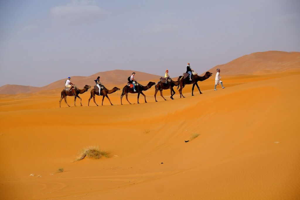 Al Marmoom Desert