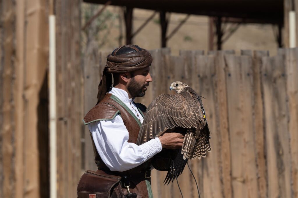 Falconry in Qatar - Salam Travellers