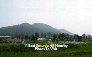 Read more about the article 14 Best Susunia Hill Nearby Places To Visit