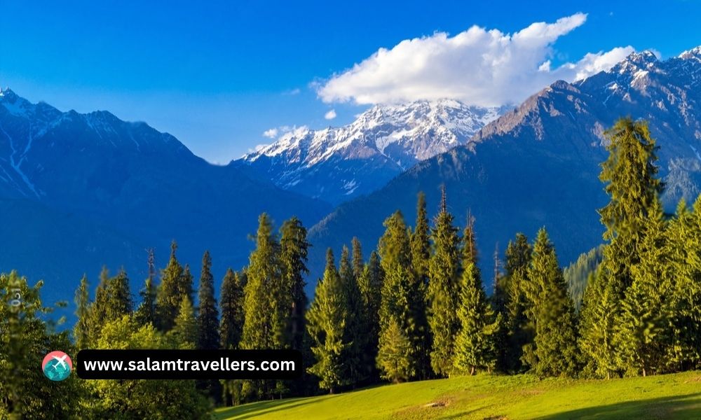 Meadows of the Himalayas - Salam Travellers