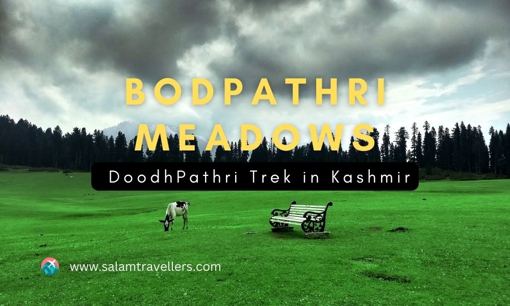 Read more about the article Bodpathri Meadows and the Doodhpathri Trek in Kashmir