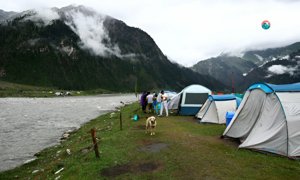 Camping Site In Gurez - Salam Travellers