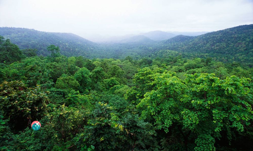 Dense forests, Hills, Rivers, and Waterfalls of Chhattisgarh - Salam Travellers