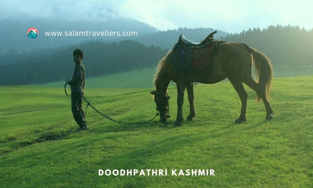 Doodpathri Kashmir - Salam Travellers