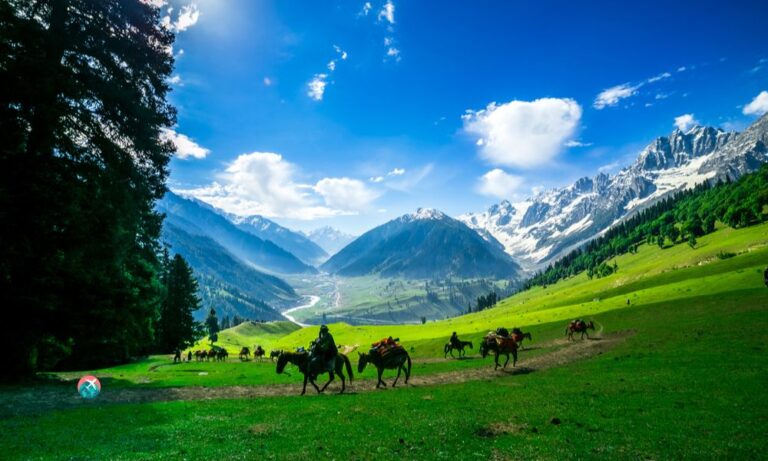 Gurez Valley Trek in Kashmir - Salam Travellers